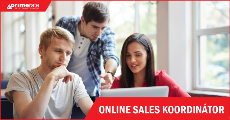 online-sales-koordinator
